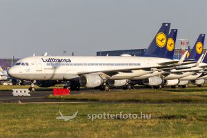 spotter_fejlec_kep_uj_200905