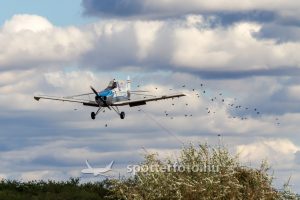 spotter_fejlec_kep_uj_200927