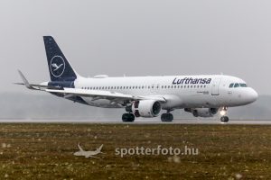 spotter_fejlec_kep_uj_241214